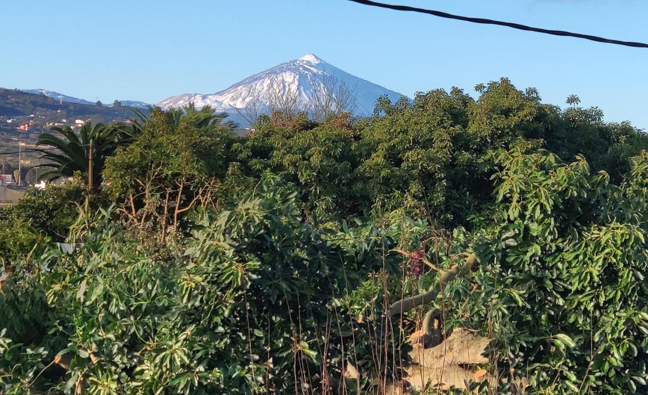 Finca El Trazo Tacoronte Ngoại thất bức ảnh