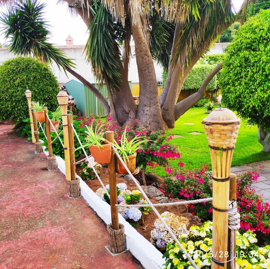 Finca El Trazo Tacoronte Ngoại thất bức ảnh