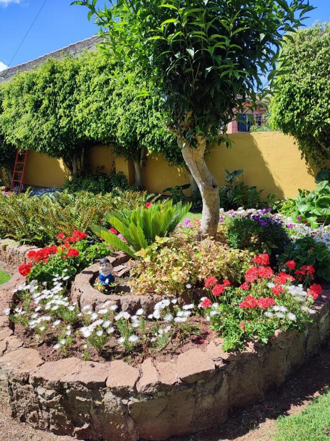 Finca El Trazo Tacoronte Ngoại thất bức ảnh