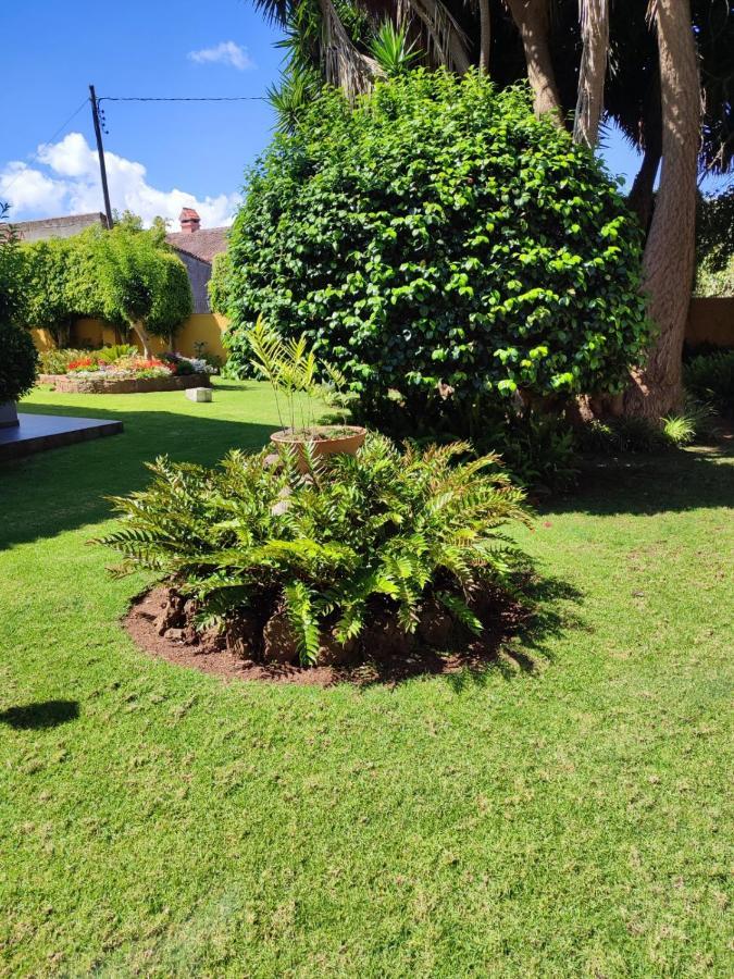 Finca El Trazo Tacoronte Ngoại thất bức ảnh