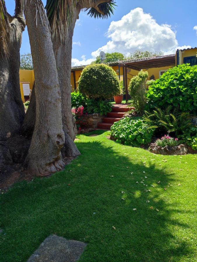 Finca El Trazo Tacoronte Ngoại thất bức ảnh