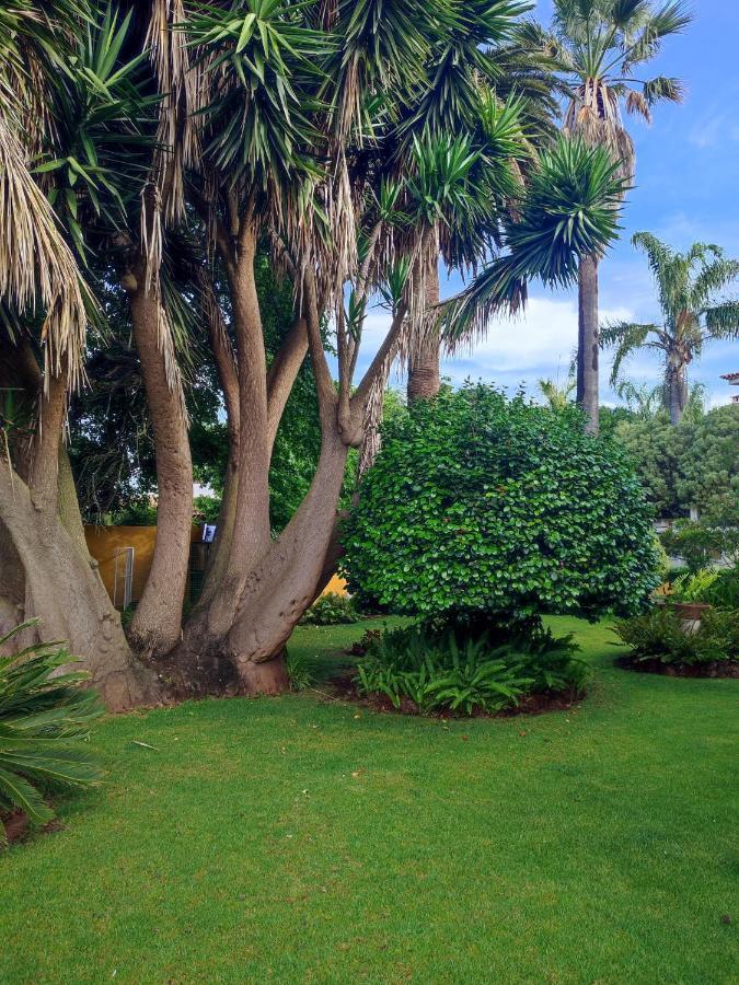 Finca El Trazo Tacoronte Ngoại thất bức ảnh